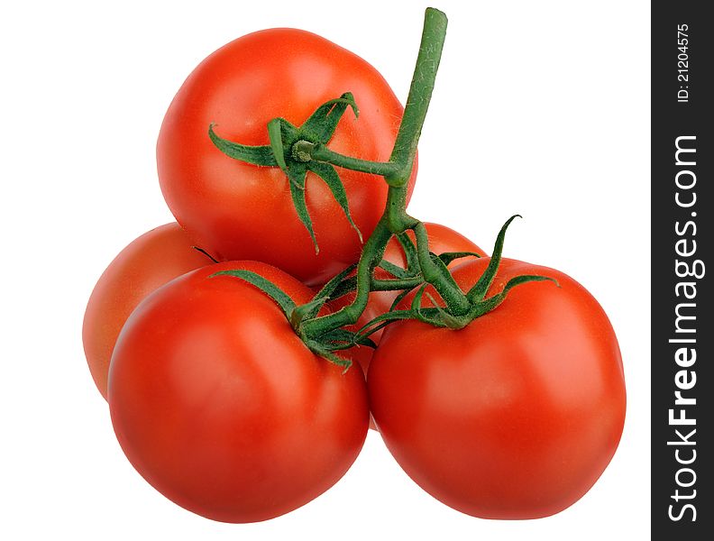 Branch of ripe red tomatoes isolated. Branch of ripe red tomatoes isolated