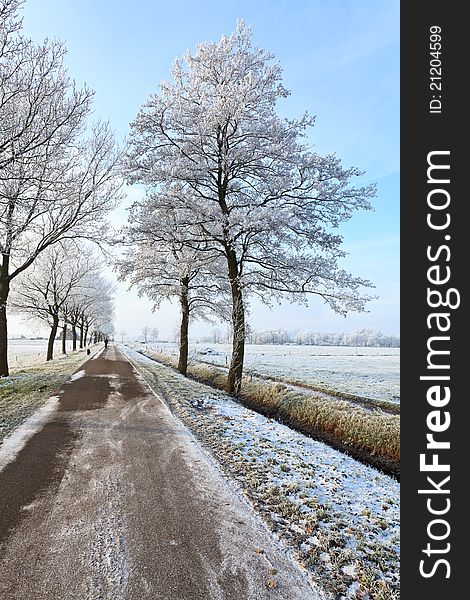 Small street in a cold white winter landscape. Small street in a cold white winter landscape