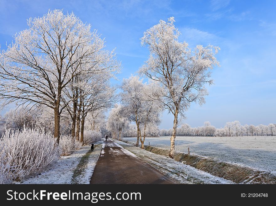 Small Road In A White Winter Landscape