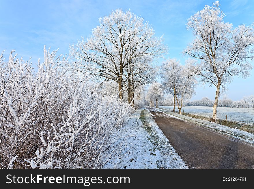 Small street in a cold white winter landscape. Small street in a cold white winter landscape