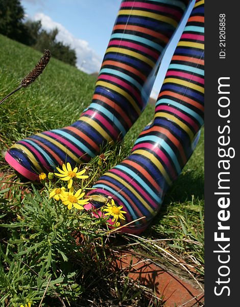 Stripy wellington boots among flowers and grass. Stripy wellington boots among flowers and grass