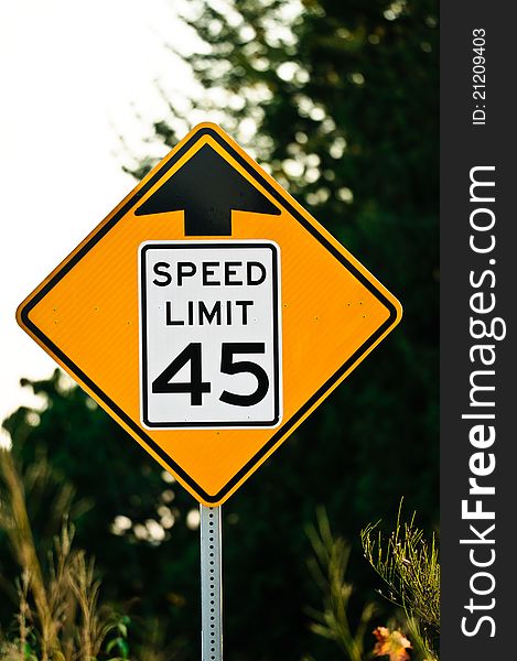 Road sign used in the USA, 45 MPH speed limit.