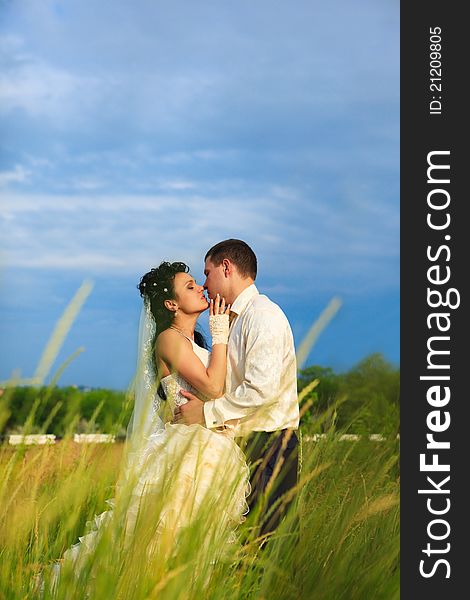 Wedding shot of newly-married couple standing in field. Wedding shot of newly-married couple standing in field