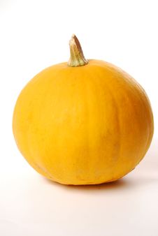 Yelow Pumkin Stock Photo Yelow Pumkin Stock Photo