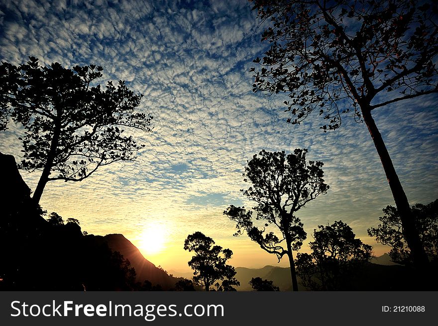 Silhouette tree at khao changpuek mountain, Kanchanaburi, Thailand