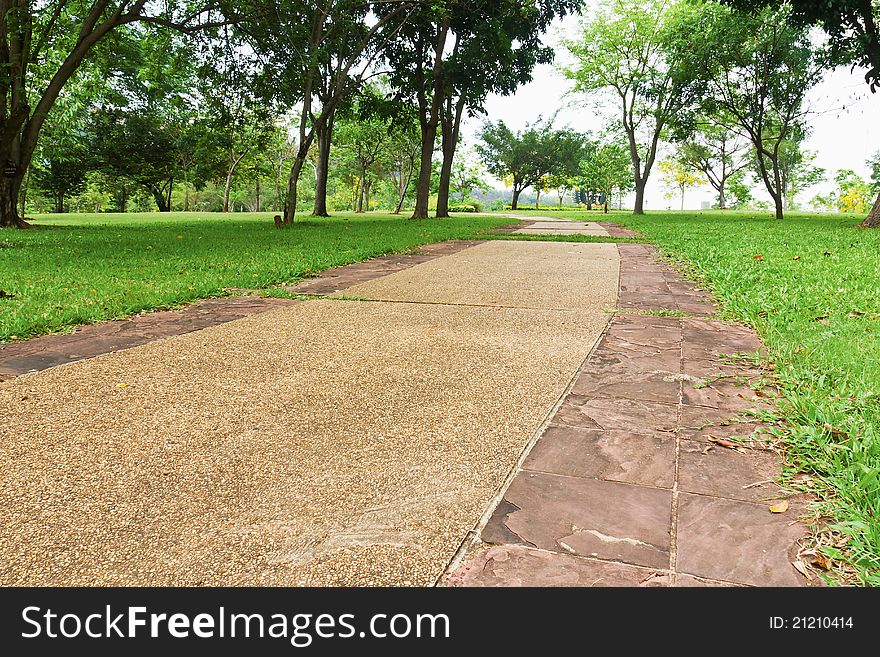 Single Lane Road concrete in garden