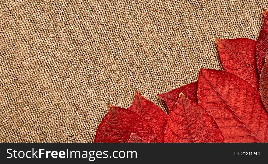 Autumn leaves over burlap background