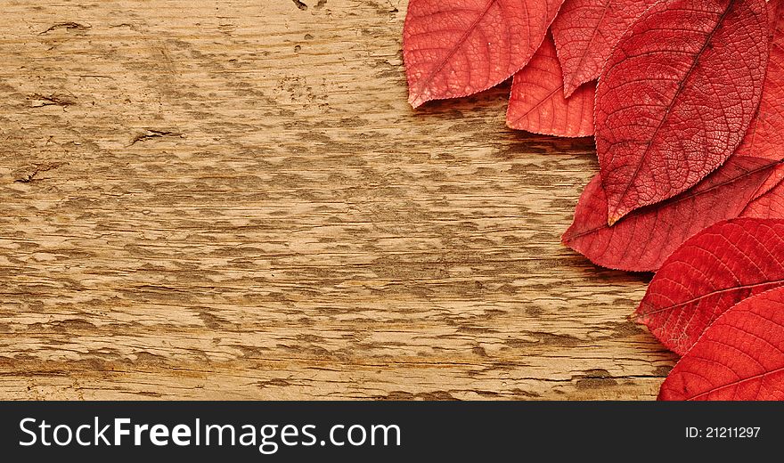 Autumn leaves over wooden background.