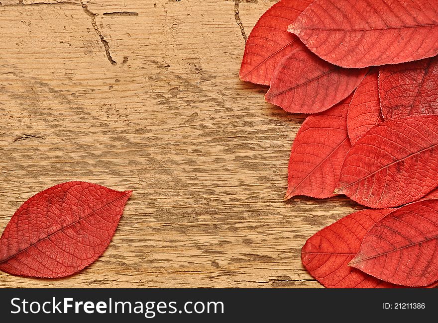 Autumn leaves over wooden background.