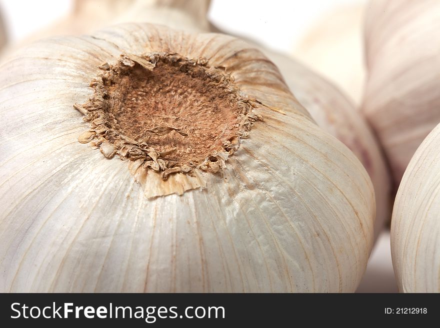 Garlic Bulb Closeup