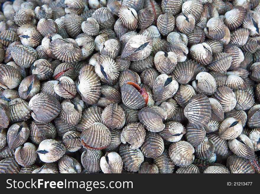 Cockles At The Market