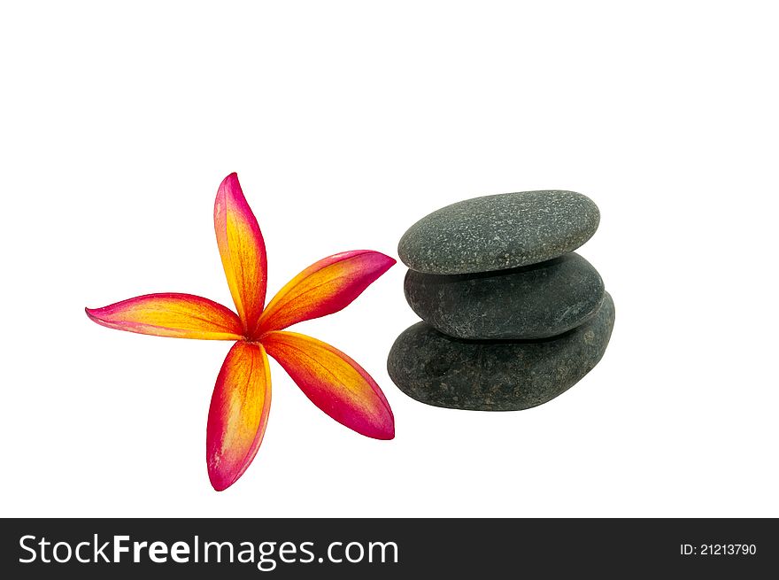 Frangipani and the stone in white background. Frangipani and the stone in white background