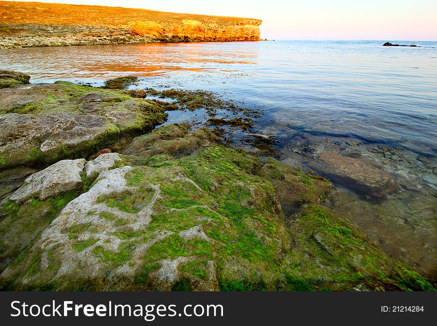 Stones on seacoast it is large with green seaweed