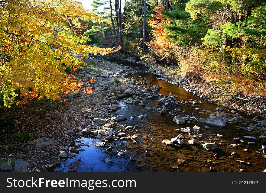 Running mountain stream through colorful autumn trees. Running mountain stream through colorful autumn trees