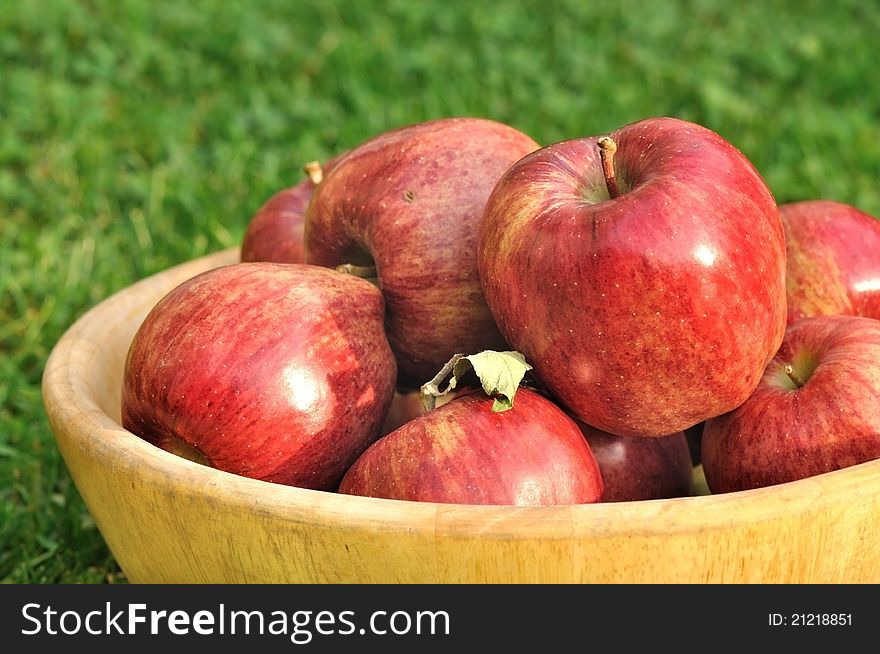 Wooden bowl placed in the grass and filled with red apples. Wooden bowl placed in the grass and filled with red apples