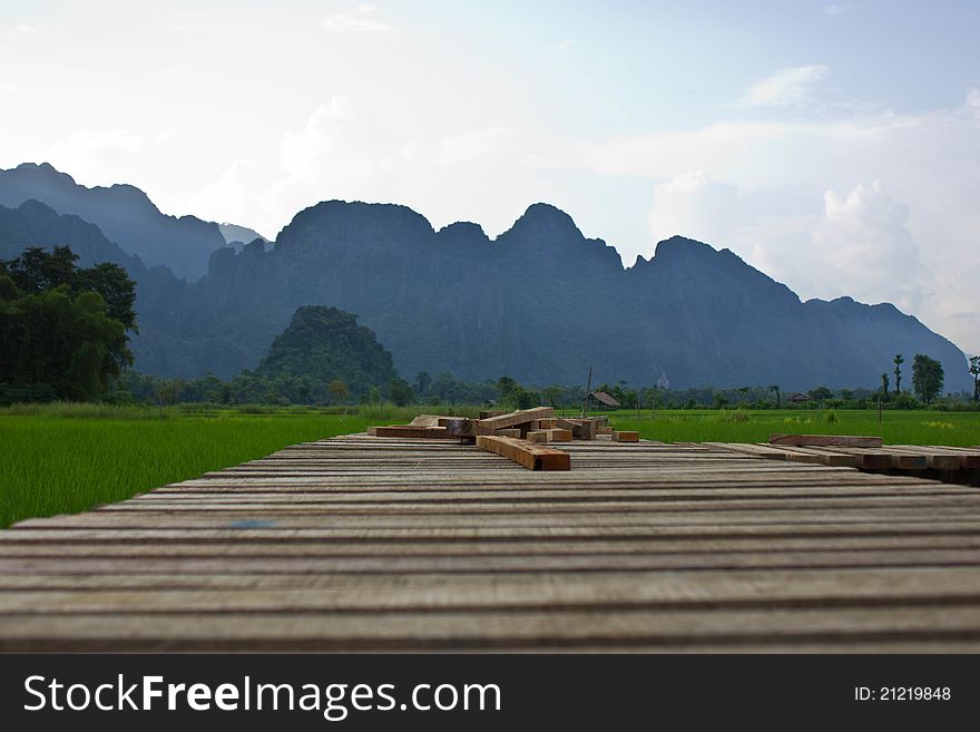 Rice field with Mountains background. Rice field with Mountains background