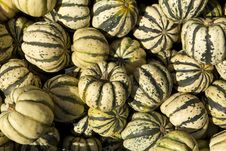 Pumpkins Royalty Free Stock Image Pumpkins Royalty Free Stock Image