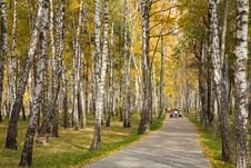 Autumn Park Stock Photography Autumn Park Stock Photography