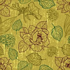 Vector Seamless Floral Pattern With Herbarium Stock Photo