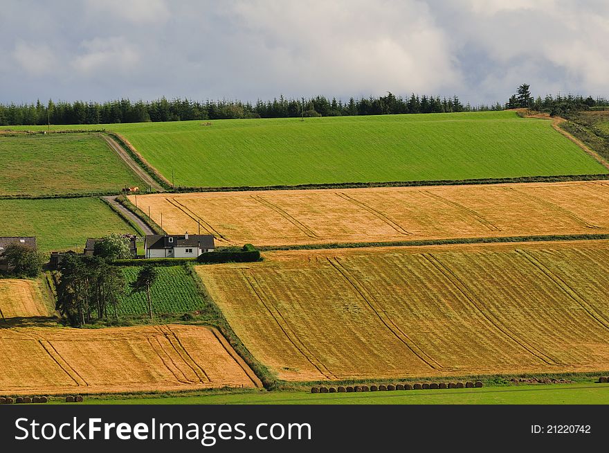 Typical agricultural landscape of North Scotland