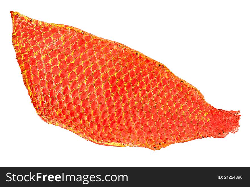 Red fish skin in isolation