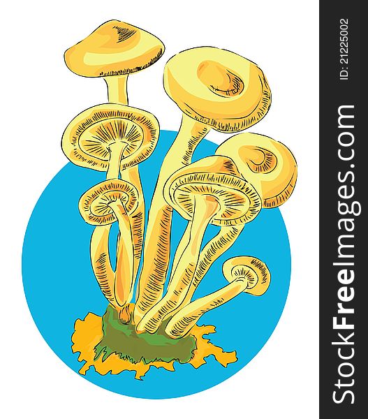 Honey in a series of edible mushrooms. Vector illustration of a format EPS. Honey in a series of edible mushrooms. Vector illustration of a format EPS.