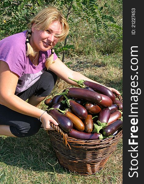 Romanian rustic girl with a basket full of egg-plants. Romanian rustic girl with a basket full of egg-plants