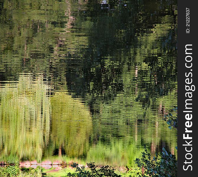 Pond reflection as abstract natural green background. Pond reflection as abstract natural green background.