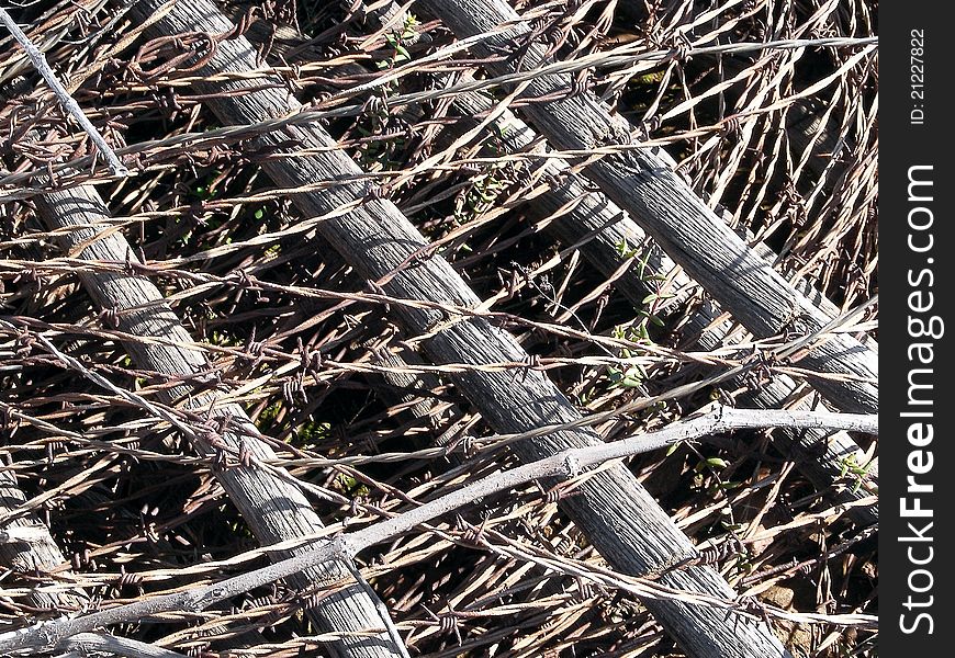 A texture type picture of a loosely rolled up bale of barbed wire fencing