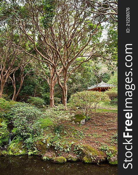 Trees and stream in front of Japanese temple. Trees and stream in front of Japanese temple.