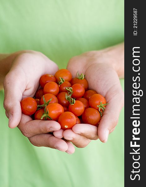 Small cherry tomatoes in a hand, with green surface