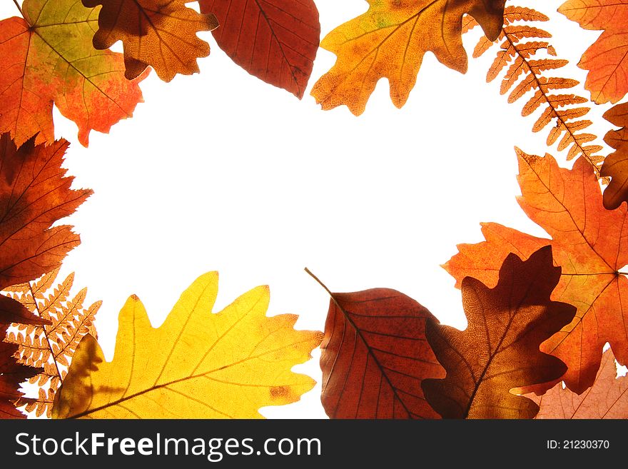 Background of beautiful bright-colored autumn leaves with space for notes. Background of beautiful bright-colored autumn leaves with space for notes
