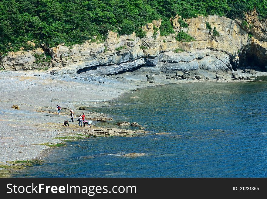 Landscape of sea beach