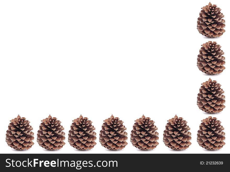 Christmas Pinecones Closeup Over White
