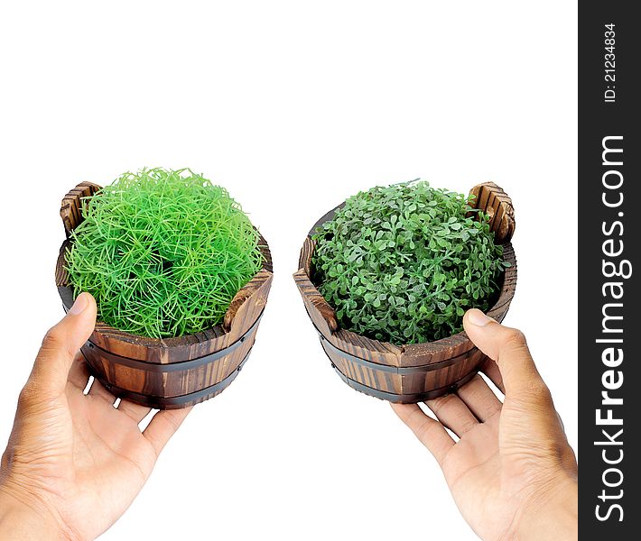 Hand, and potted plants to grass. Hand, and potted plants to grass.