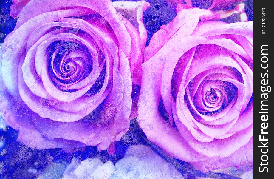 Violet roses - vintage stylized floral picture with patina texture