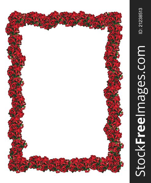 Christmas frame - red poinsettia isolated on the white background. Christmas frame - red poinsettia isolated on the white background