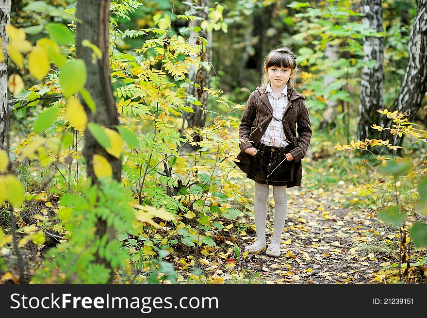 Portrait of adorable child girl in autumn forest