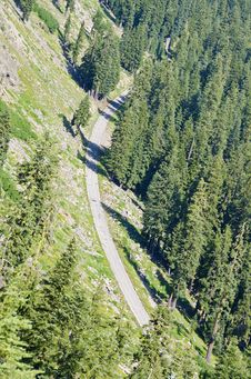Road Through The Forest Stock Photos Road Through The Forest Stock Photos