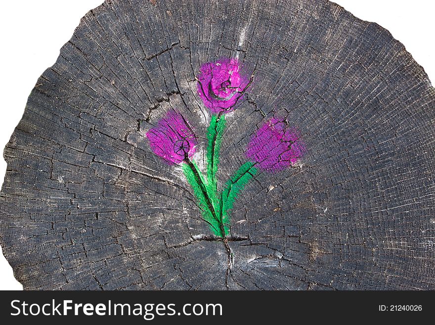 Flower picture on a fragment of the old wood. Flower picture on a fragment of the old wood.