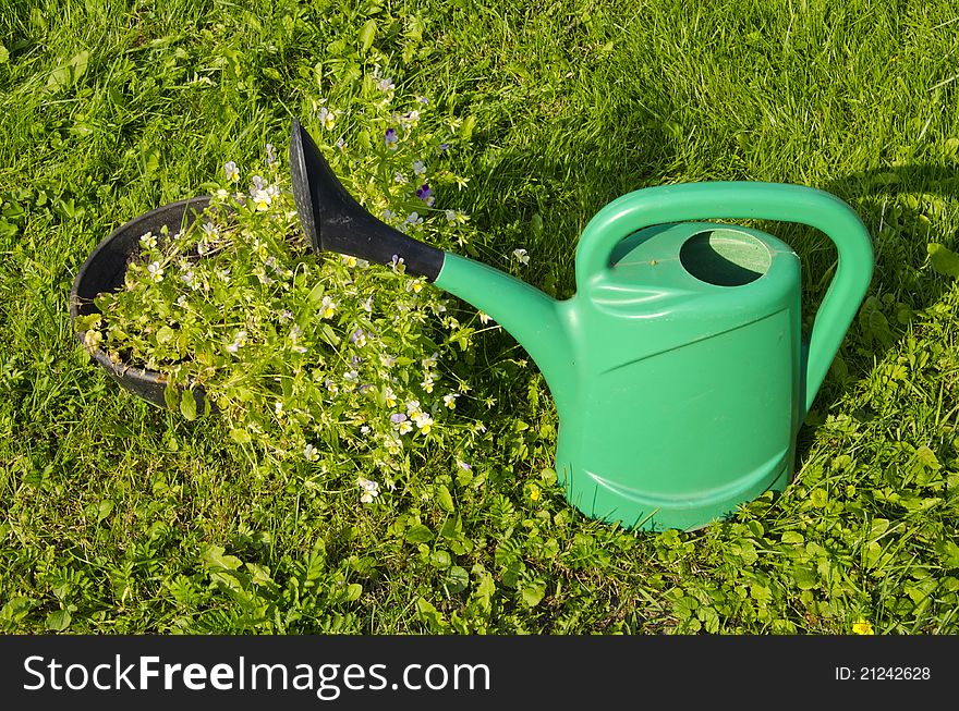 Green watering can near the pot with flowers on a background of meadow. Green watering can near the pot with flowers on a background of meadow.