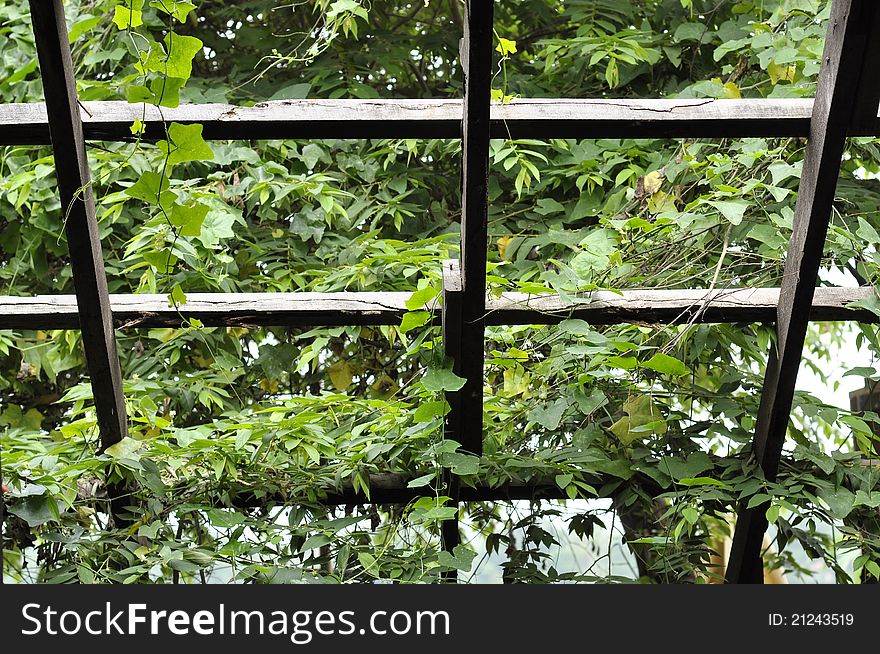 The structure of the old wooden houses remains. The structure of the old wooden houses remains.