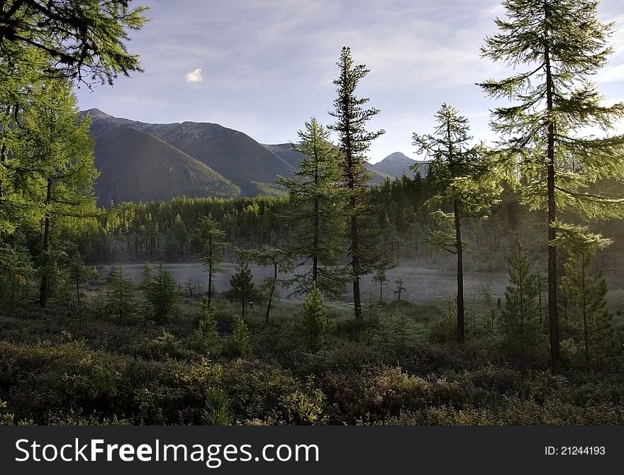 Sunrise on the shore of the forest lake. Sayan Mountains. Siberia.
