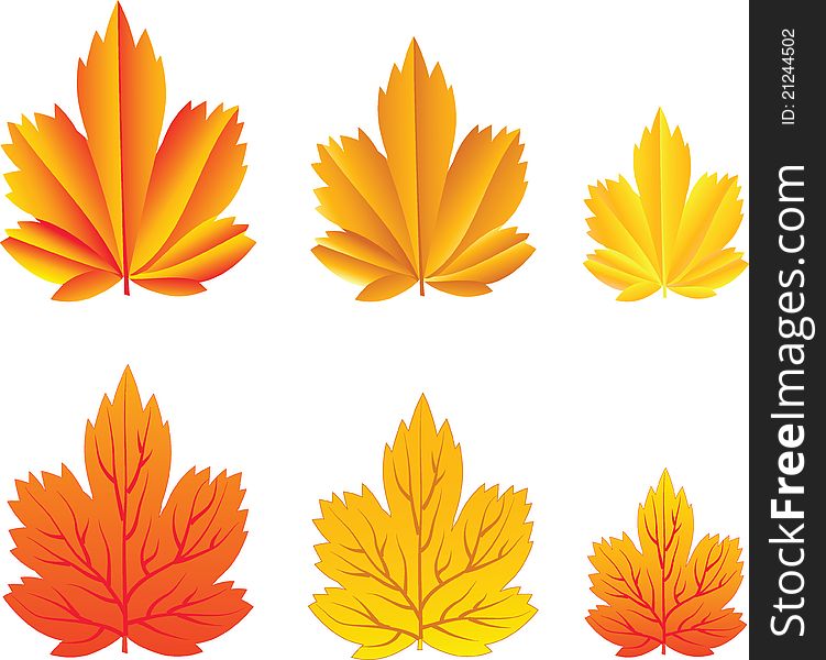 The vector illustration contains the image of autumn leaves