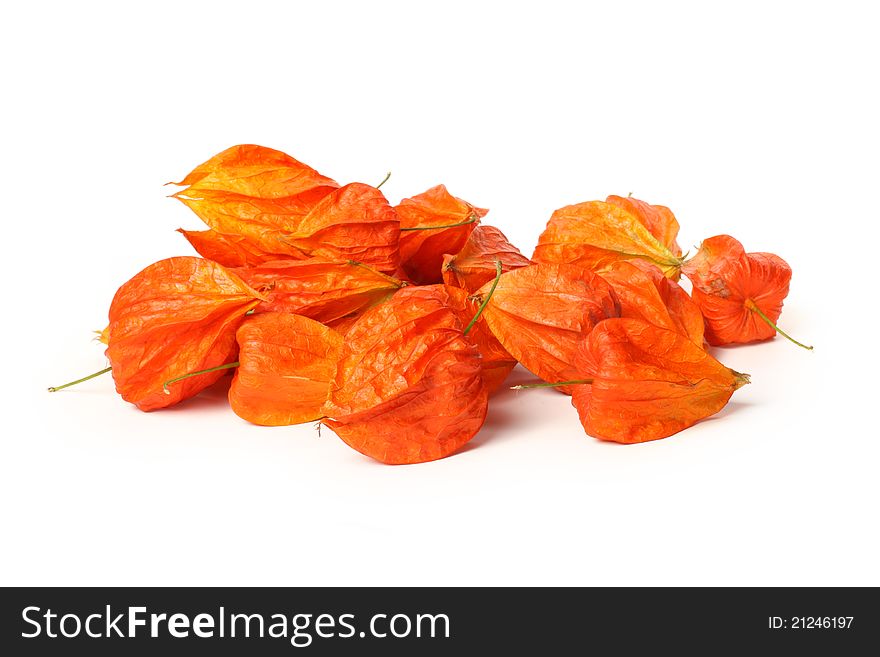 pile of physalis on white background