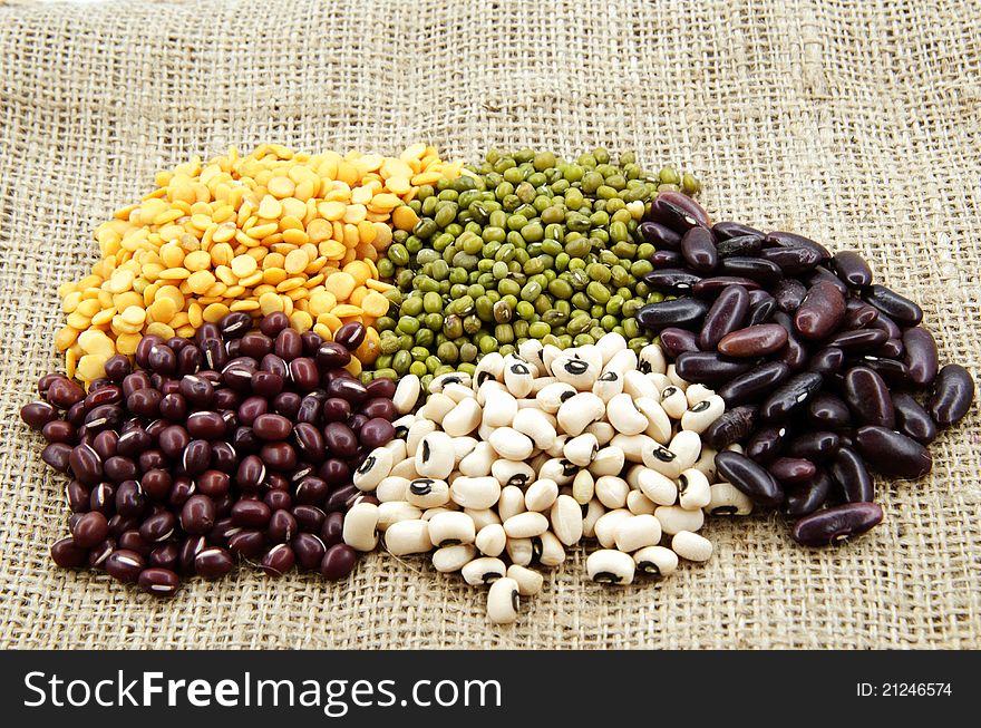 Beans type, size and colors.