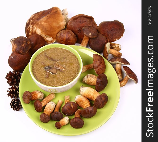 Mushroom soup in a bowl with some mushrooms around it and some pinecones