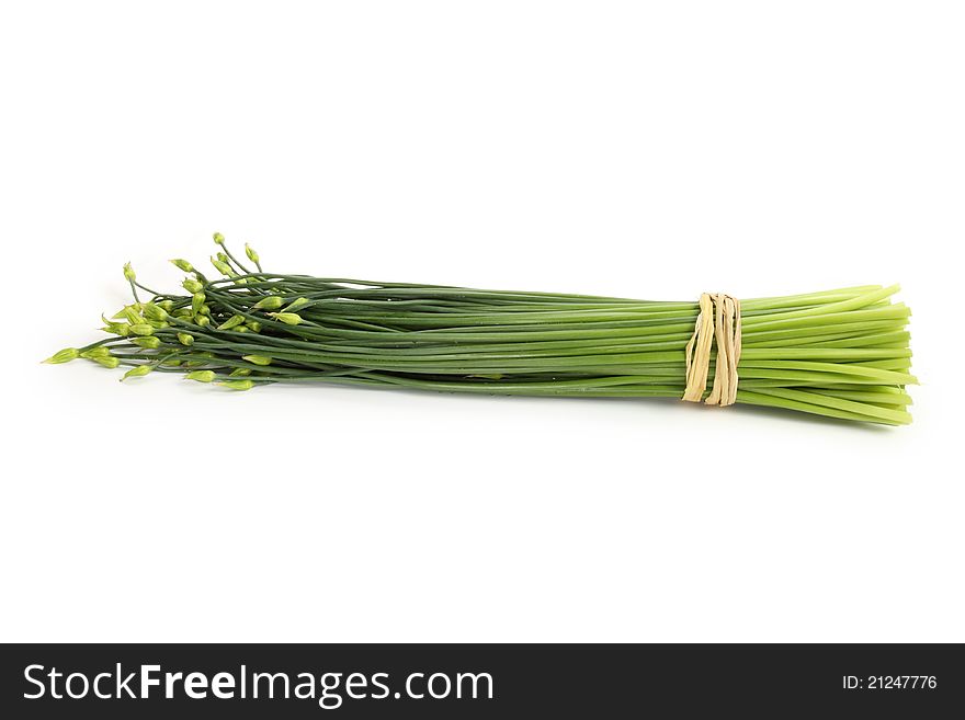 Bunch chives on the white background