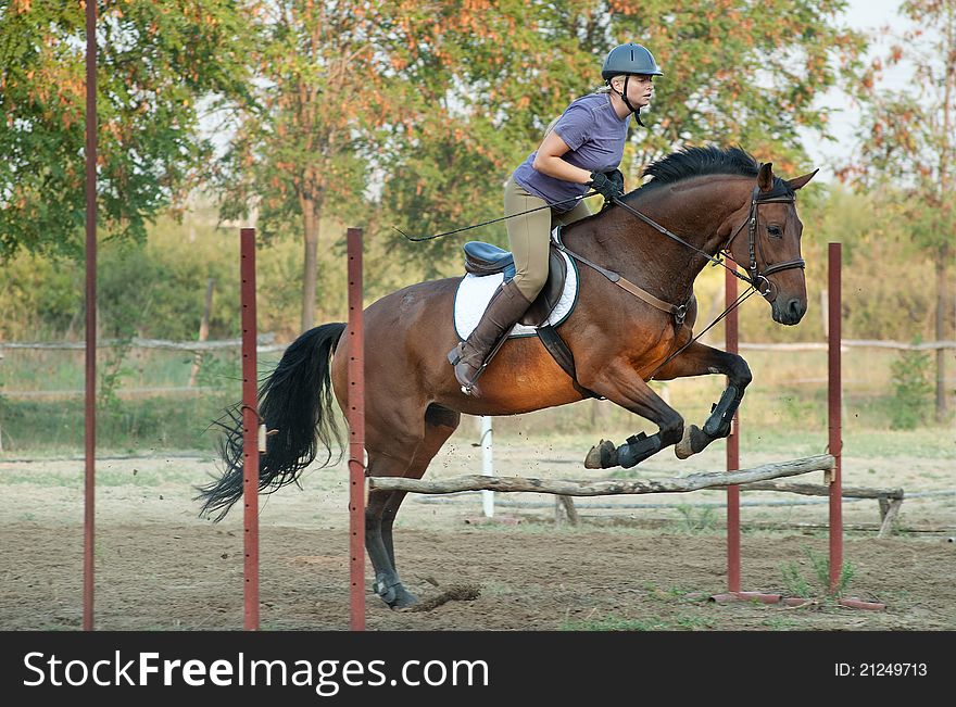 Girl riding horse and jumping