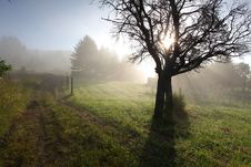 Sun Rays In Meadow Royalty Free Stock Photo Sun Rays In Meadow Royalty Free Stock Photo